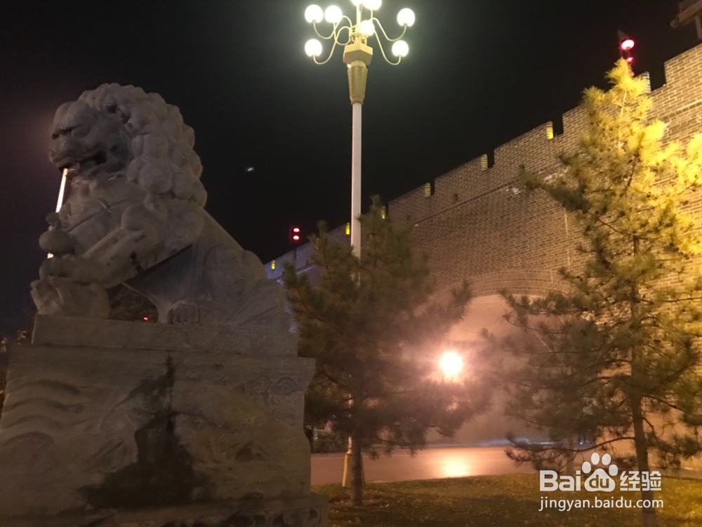 怎样拍摄石狮子