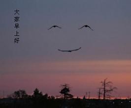 早晨你不能做的事情