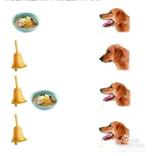 如何怎么的训练狗狗捡球