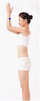 简单4招丰胸瑜伽，让上围暴涨的秘诀