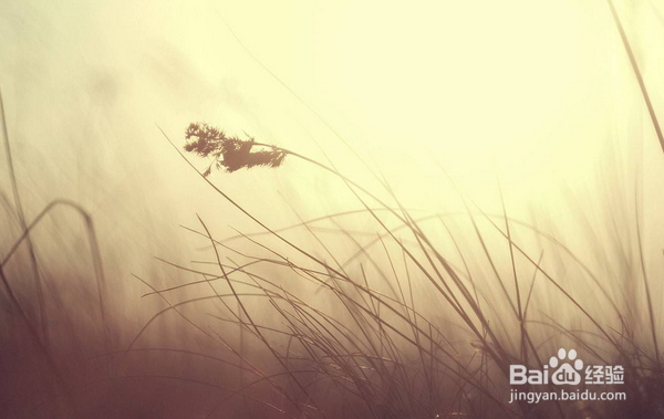 为什么我要坚持写百度经验？