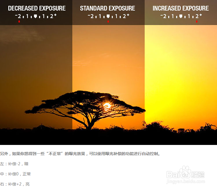 摄影的最基本术语