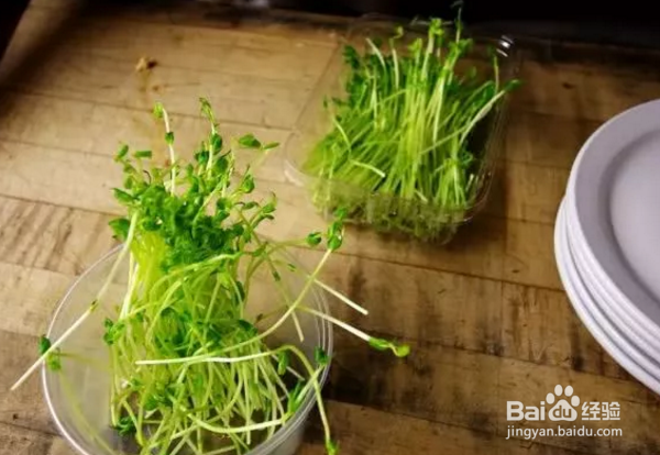 如何在家体验绿色健康的半农生活？