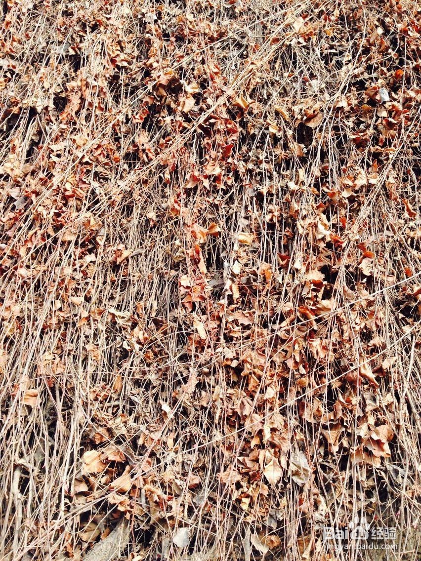 如何让老人快乐的生活？