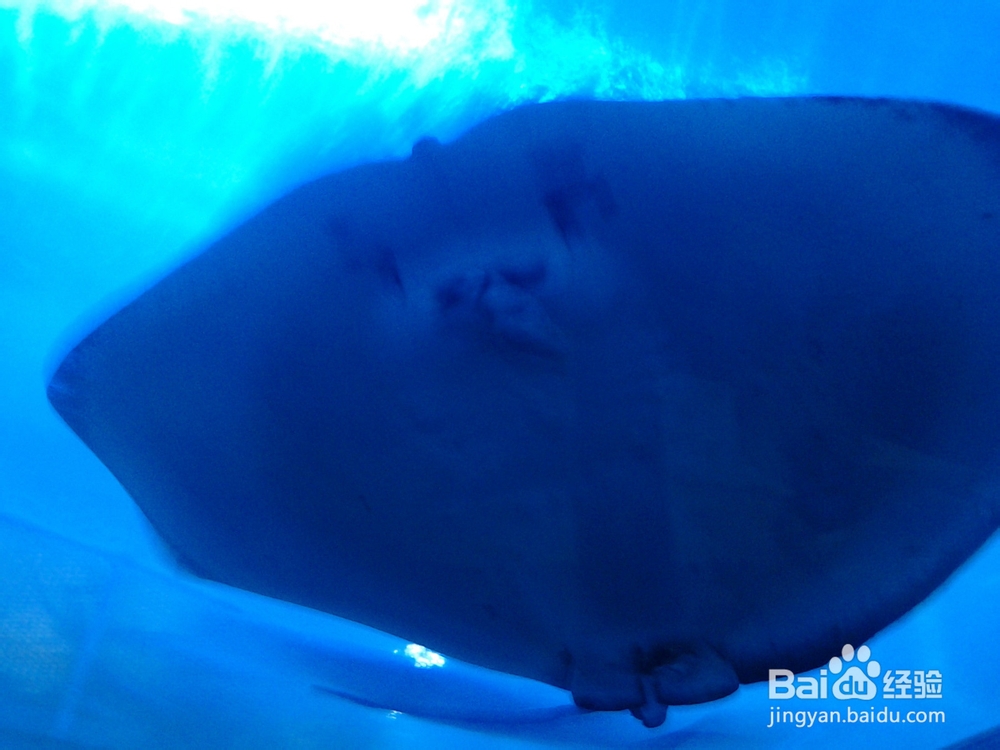 北海银滩自助游