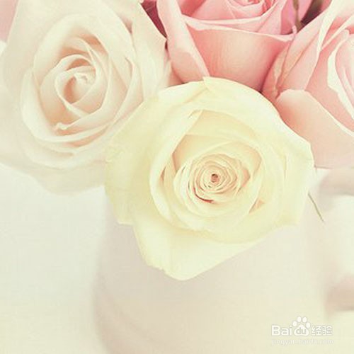 我们怎么样更加好的混在当下