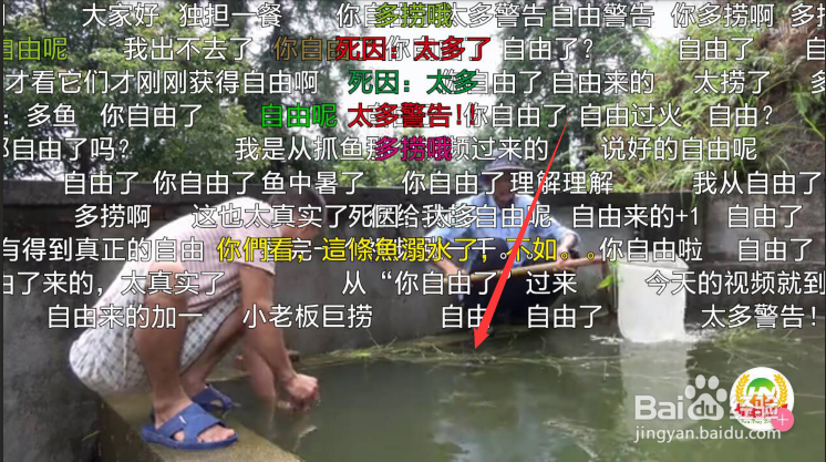 哔哩哔哩怎么设置屏蔽遮挡字幕弹幕和底端弹幕