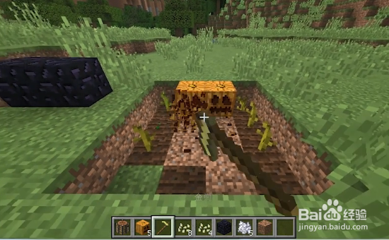 我的世界如何雕刻南瓜？