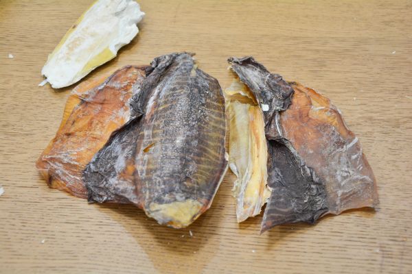 腔骨墨鱼胡萝卜汤