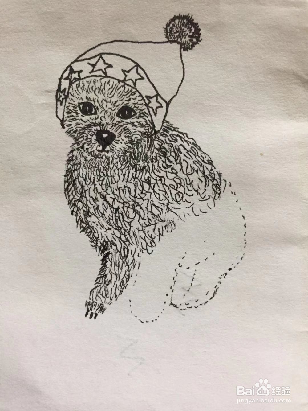 插画教程之圣诞泰迪狗