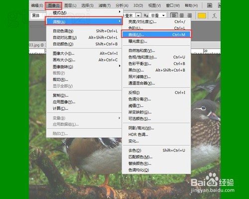 photoshop基础入门教程之PS曲线的使用