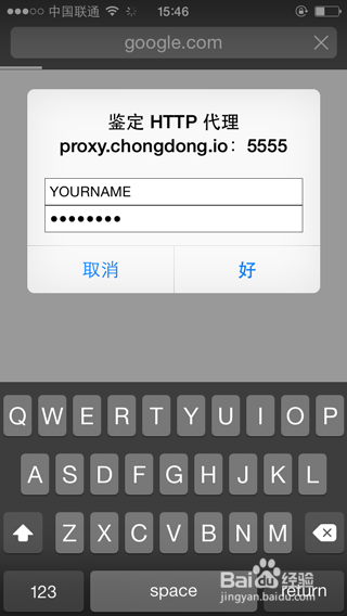 虫洞iphone代理设置