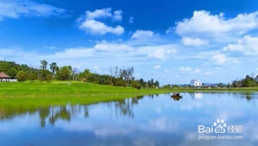 刷爆朋友圈的粉色花海