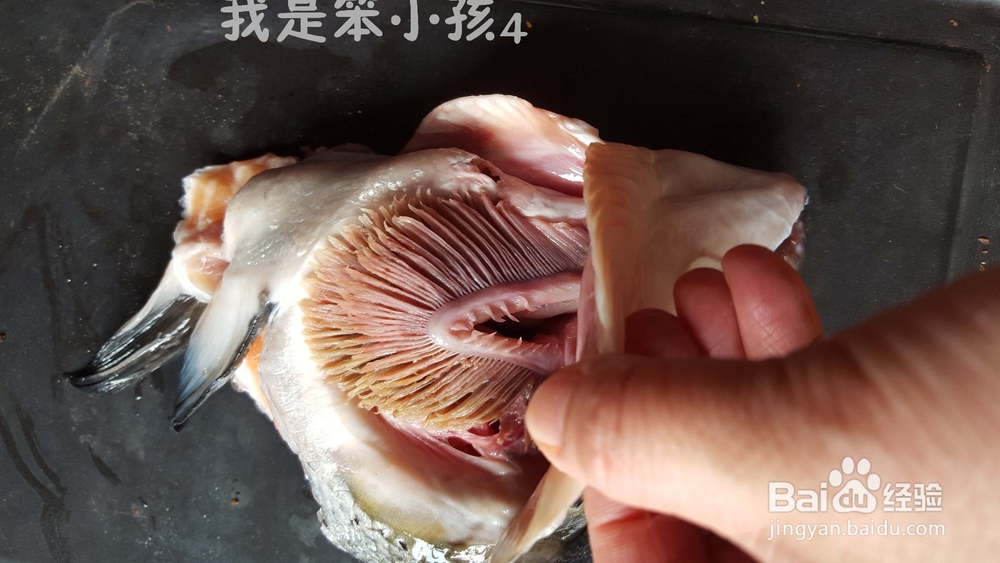 如何用空气炸锅机做三文鱼头