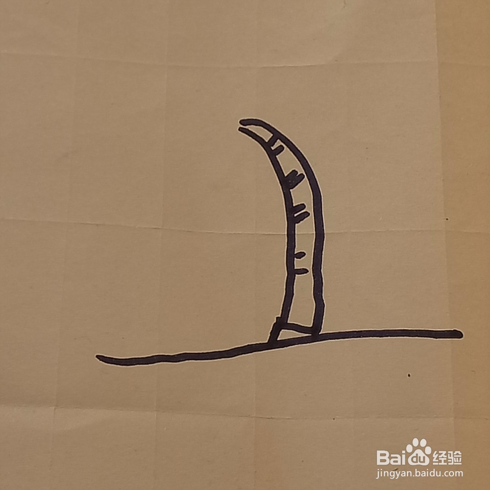 成熟的椰子树儿童简笔画