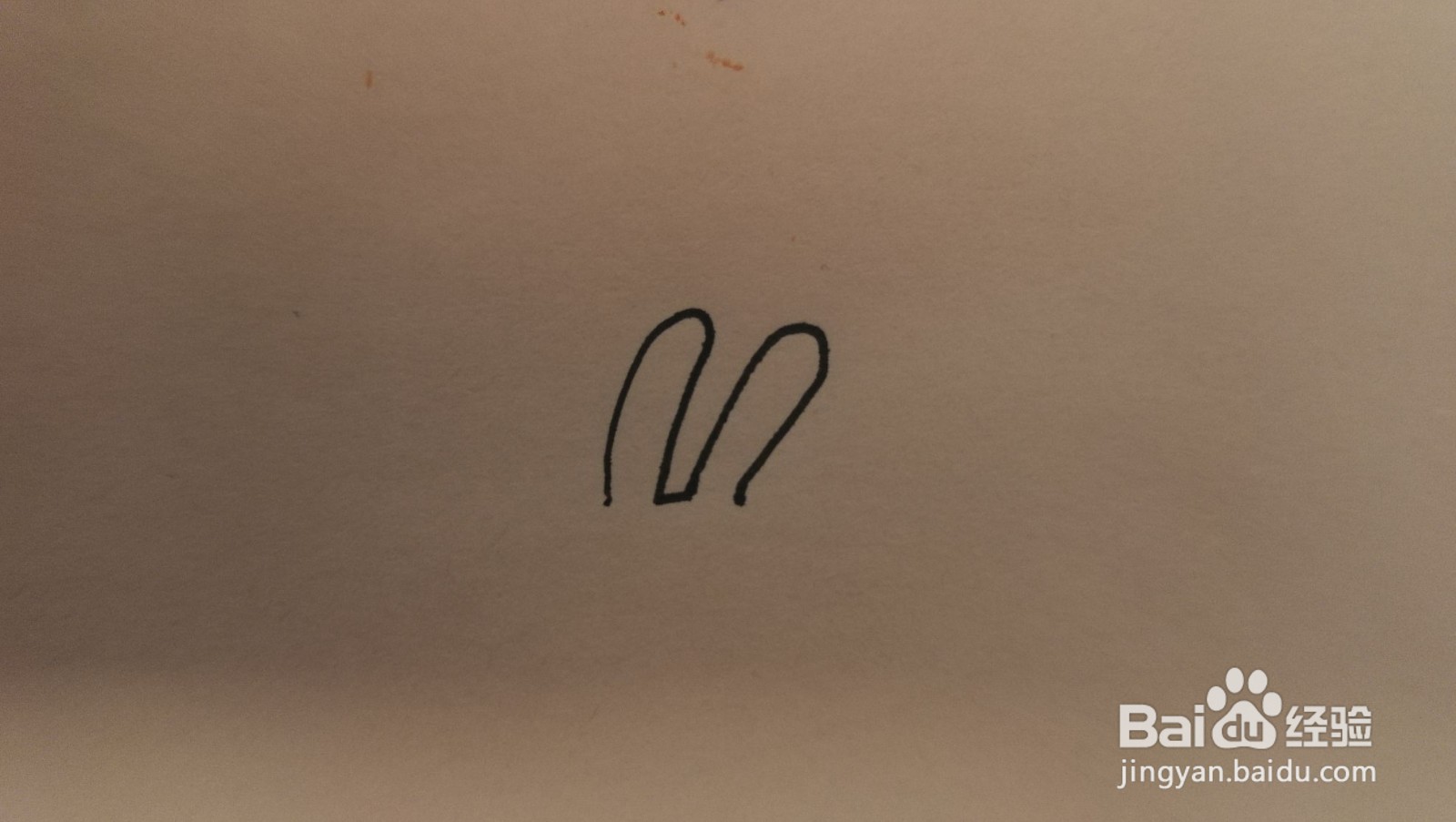 #经验分享官#小兔子简笔画