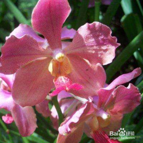 艾伦的注意事项?