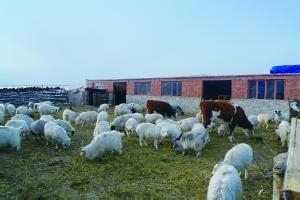 公务员知识学习：[2]牛吃草特殊模式一