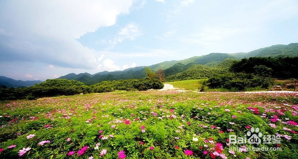红池坝旅游攻略