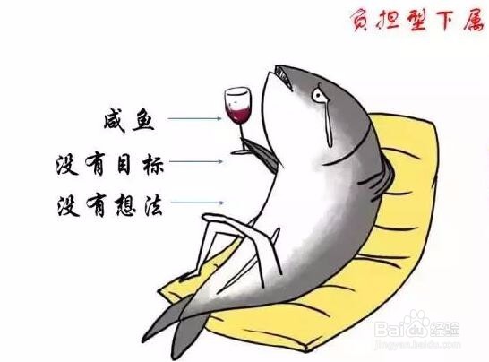员工的七种类型及管理方式