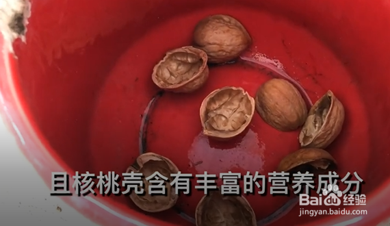 核桃壳有什么作用？