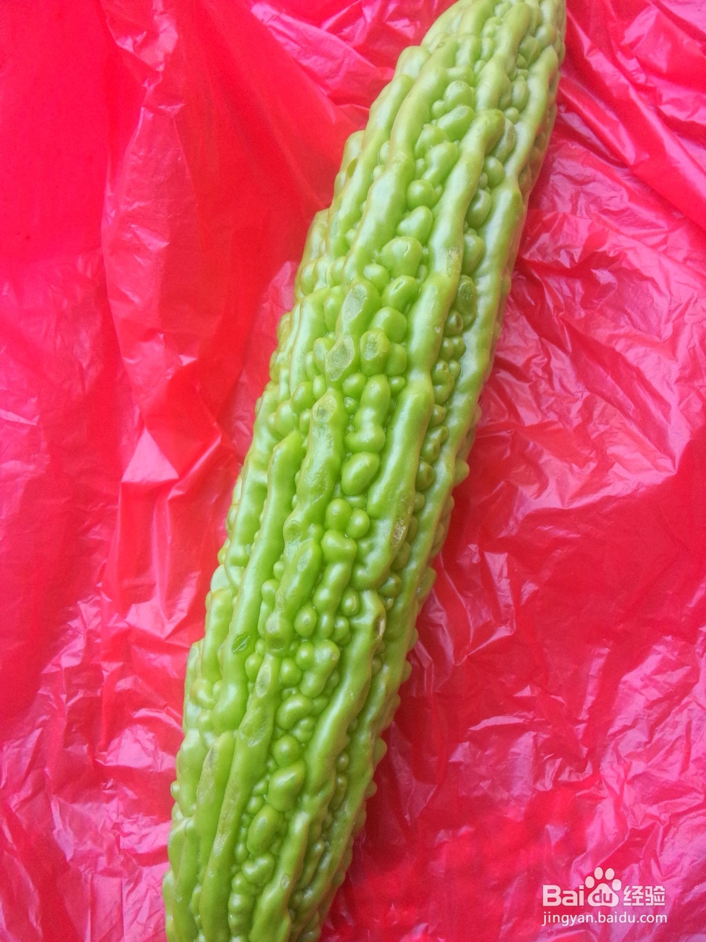去火佳肴：苦瓜蛤蜊汤