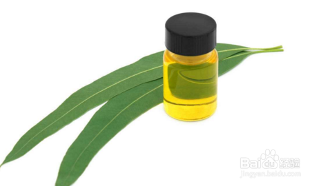 13种天然治疗，让你的鼻子和呼吸更好