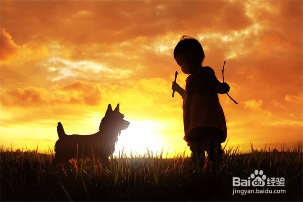 离异如何处理孩子的抚养问题