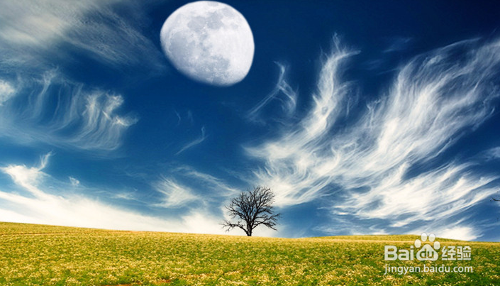 二元期权一分钟顺势而为，决胜千里之外