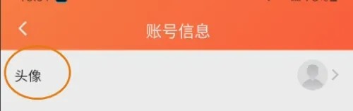 海豚票号头像如何更换