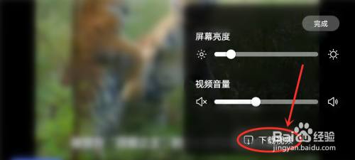 百度关怀版怎么下载视频?
