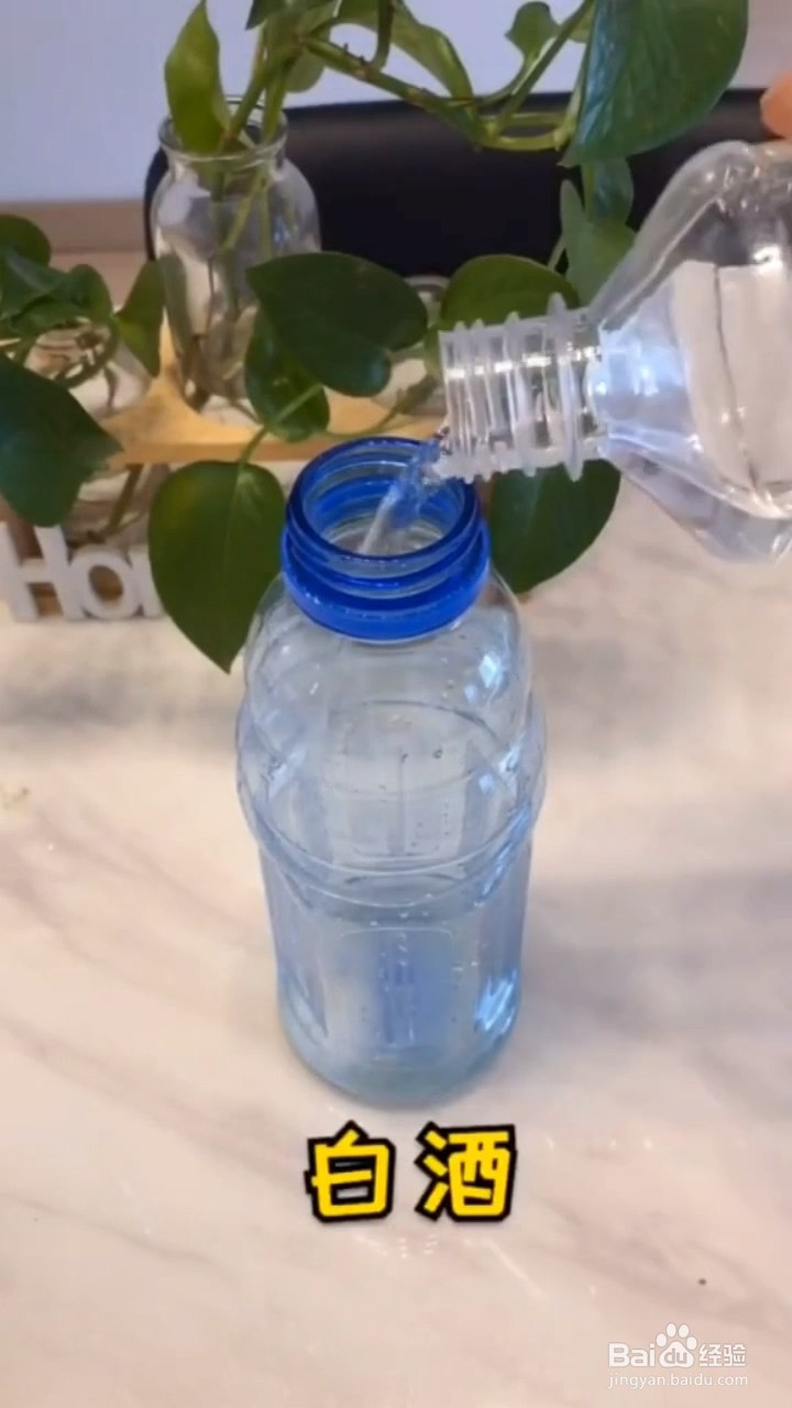 如何去除马桶的异味?