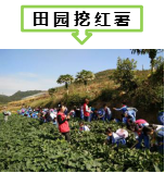 菜博士农场亲子活动方案