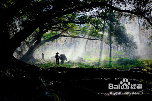 【我爱摄影】人间仙境：雾景拍摄技巧