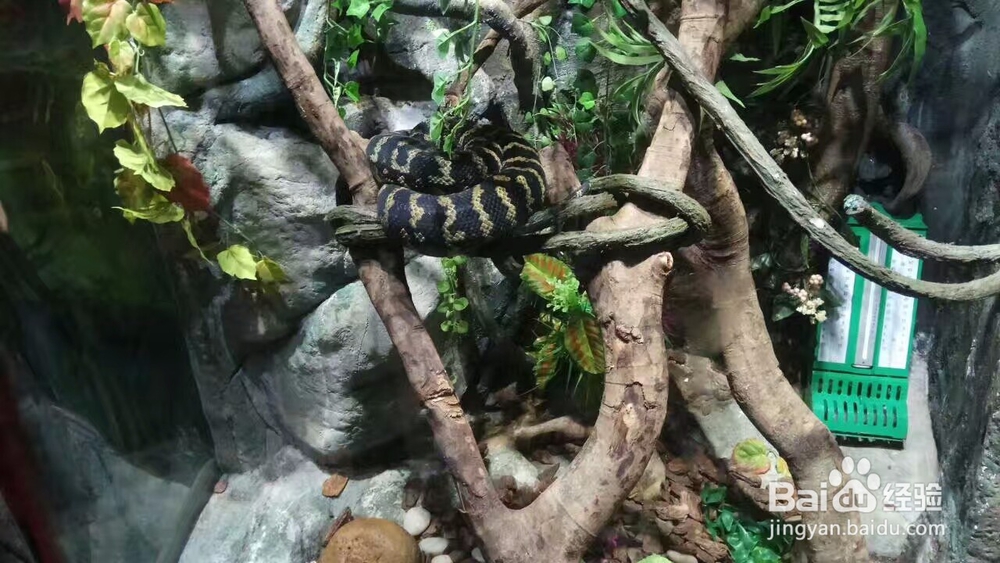 广州自由行旅游攻略