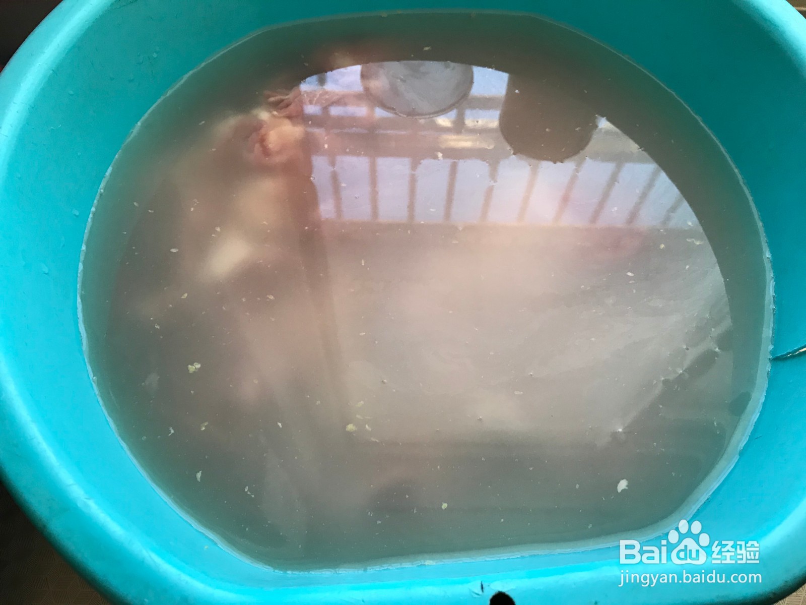 冬季滋补羊肉萝卜清汤