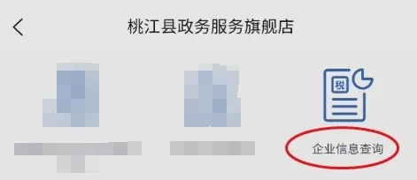 我的桃江怎样查询企业信息