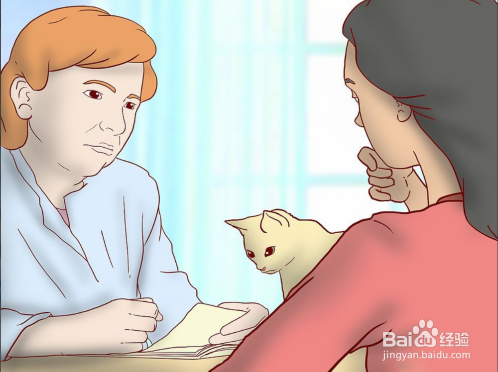 教你如何一只小猫开始养和注意事项有哪些?