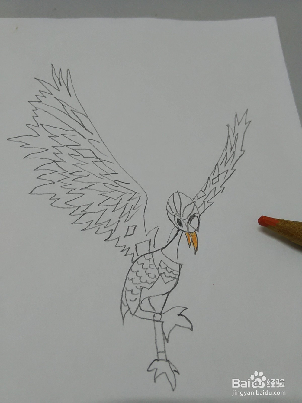 猪猪侠火焰鹤怎么画