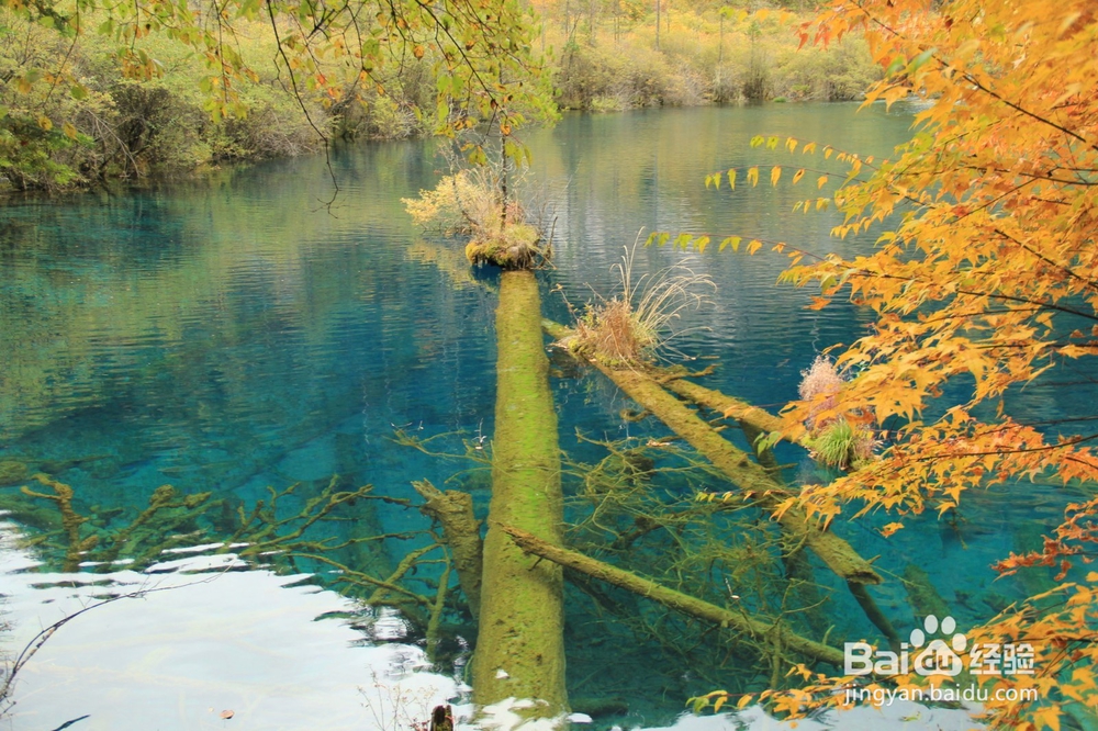 四川九寨沟、黄龙3天2夜旅游攻略