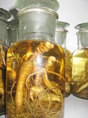 养生食谱 山参的四种食用方法
