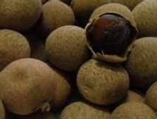 感冒了怎么办，我的小秘诀是分季节来使用！