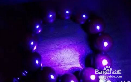 小叶紫檀树的鉴别方法