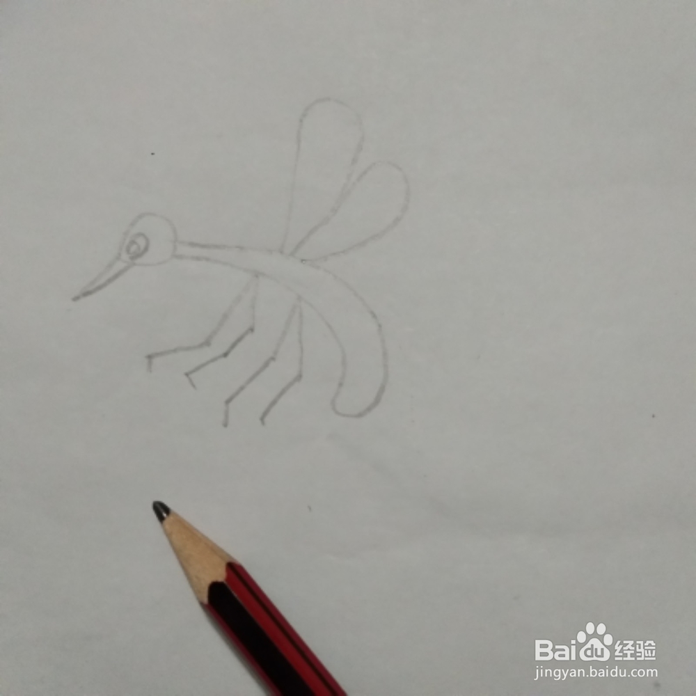 蚊子的简笔画