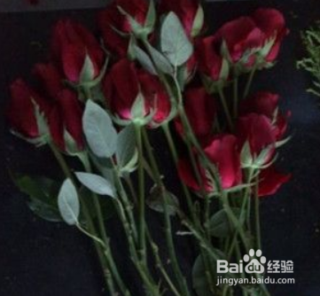 99朵玫瑰花束包装教程