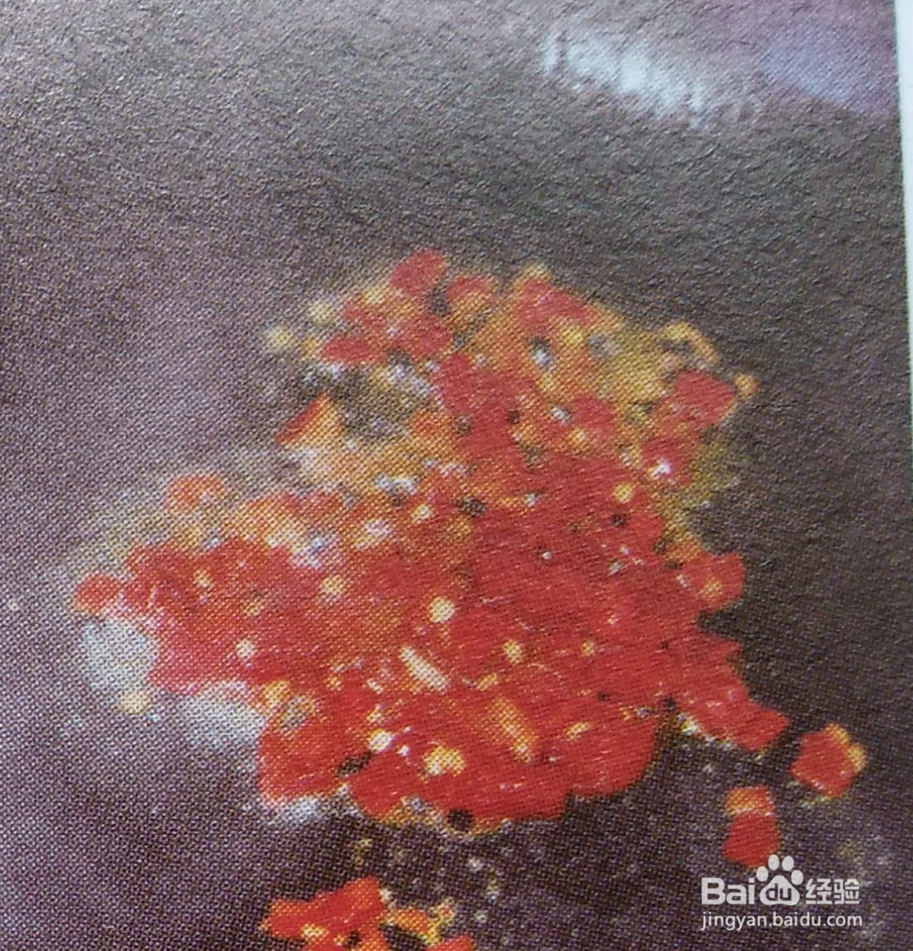 红黑双蛋的做法