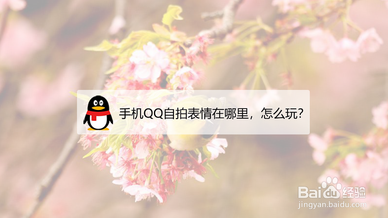 <b>手机QQ自拍表情在哪里，怎么玩</b>