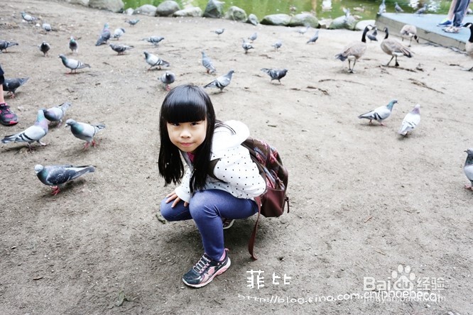 温哥华格兰维尔岛