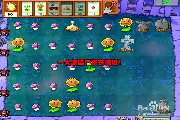 植物大战僵尸通全关的攻略。（十一）