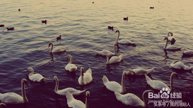 《孩子该怎样教育》之带孩子接触大自然